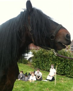 War Horse at Marden Primary School